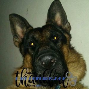 Meet your Posher, Kari